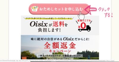 Oisixおためしセット