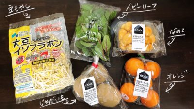 Oisixおためしセット